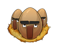 2x Köylü Yumurtası